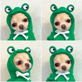 Dog Autumn And Winter Clothing Small And Medium Dog Love Two Legged Cat Cute Pet Clothing (Option: 5 Style-L)