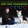 USB Rechargeable LED Dog Collar Multi-Color Lighting Dog Safety Collar Cuttable Length Glow Dog Collar For Small Medium Large Dog Night Walking